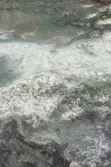 Beautiful forest and pond