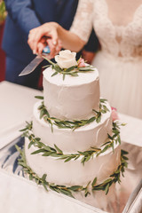 Happy wedding couple carving delicious  cake