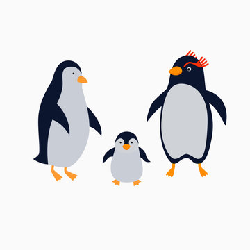 Family of penguins