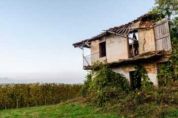 Ruins of an abandoned farm in the vineyards of Piedmont, Italy