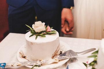 Happy wedding couple carving delicious  cake