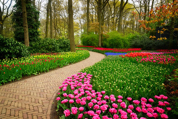 Curve of path in dutch garden Keukenhof, Netherlands, retro toned