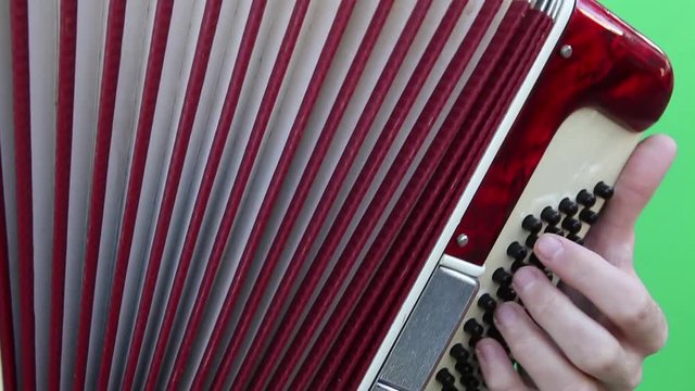 Accordionist Playing His Accordion on a Green Screen Background