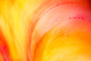 color texture