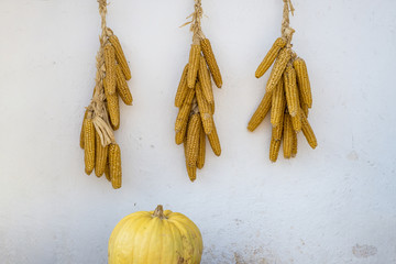 hanging on the wall corn, and pumpkin