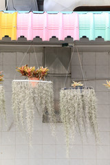 Rainproof awning © eak8dda