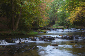 Tanew 2 © Tomek Kiecana