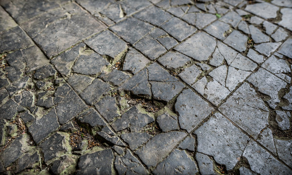 Fototapeta Broken Tiled Floor