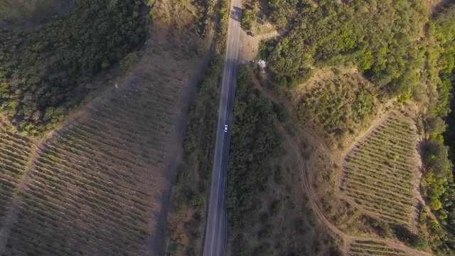 Beautiful Aerial Drone shot of a vineyard