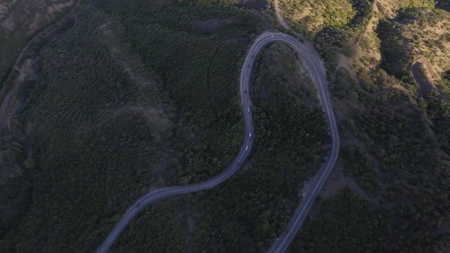 Beautiful Aerial Drone shot of a vineyard