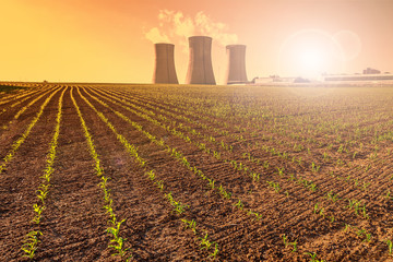   Thermal power plant at sunset, corn field   © martinlisner