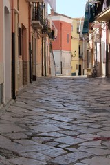 Fototapeta premium Lesina 