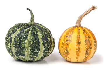 Orange and green decorative pumpkins isolated on white background
