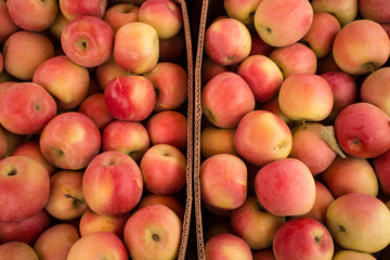 Apples in boxes