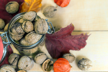 walnuts and colorful autumn maple leaves on a black background
