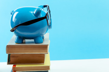 Blue piggy bank or money box