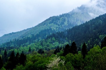Fototapeta na wymiar горный пейзаж, туман