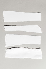 white ripped paper