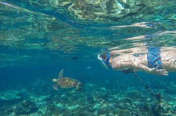 Fototapeten Sea turtle in blue water in coral reef with female snorkel, Philippines, Apo island. © Elya.Q
