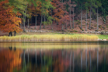 Autunno - Val di Cembra