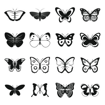 Butterfly icons set. Simple illustration of 16 butterfly vector icons for web