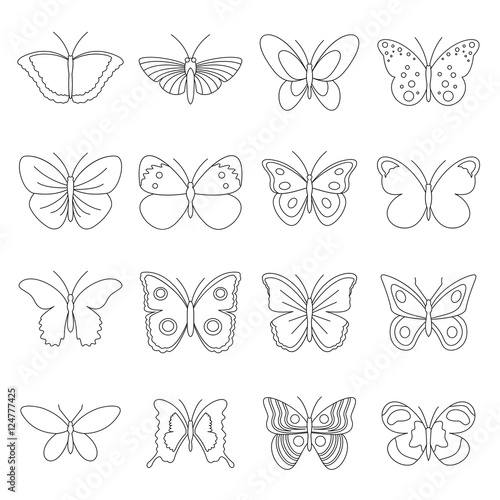 Free Free 161 Butterfly Svg Outline SVG PNG EPS DXF File