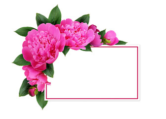 Pink peony flowers and a card
