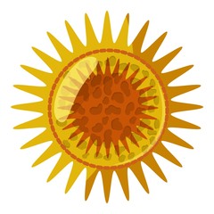 Virus or bacteria icon. Isometric 3d illustration of virus or bacteria vector icon for web