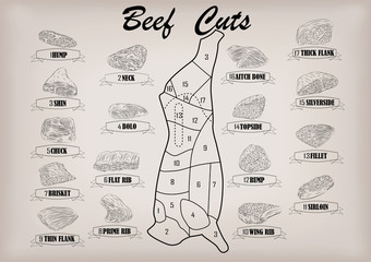 Beef cow bull side carcass cuts cut parts infographics scheme sign signboard poster butchers guide: neck, chunk, brisket fillet rump. Vector beautiful horizontal closeup black outline beige background