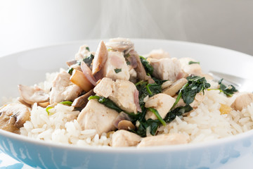Close-up view of stir-fried chicken, mushrroms and spinach served with white rice
