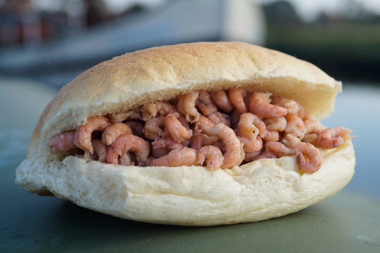 Krabben Br&ouml;tchen in Norddeutschland 