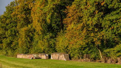 Brennholzlager am Waldrand © focus finder