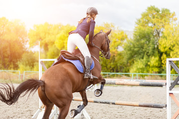 Equestrian sport image. Show jumping competition