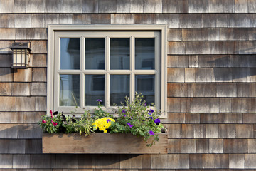 Colorful flowers growing in a window box with a wood shingle wall background.