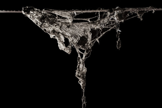 cobweb or spider web isolated on black background