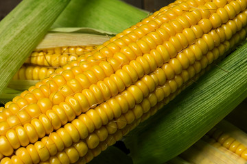 Ripe yellow sweet corn cob on a wooden table close-up