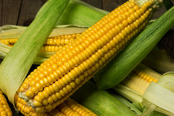 Ripe yellow sweet corn cob on a wooden table close-up
