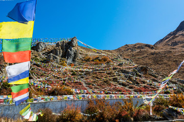 Many buddhist prayer flags surrounding sacred ground above Muktinath.