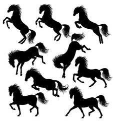 Set of a moving horse silhouettes isolated on white