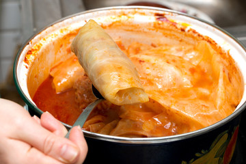 cabbage rolls with meat and cabbage