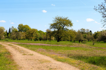 Straße durch das Wiesenfeld