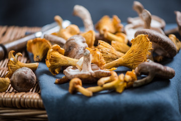 Aromatic wild mushrooms on ratan basket
