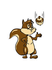 Squirrel cute witty casual nut