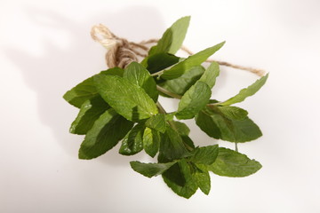 Obraz premium mint - a bunch of green and fresh 