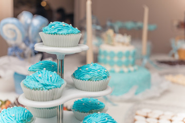 Baby shower cupcakes