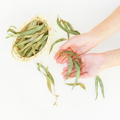 Fototapeta premium Eucalyptus Leaves. Flat lay