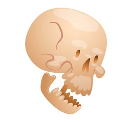 Skull face illustration isolated on white background.