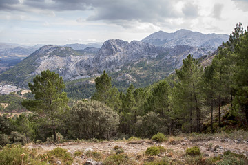 Fototapeta na wymiar paraje natural de la sierra de Grazalema en la provincia de Cádiz, Andalucía