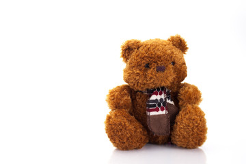 Obraz premium brown teddy bear isolated