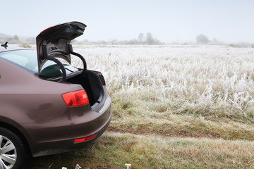 Open trunk of brown sedan